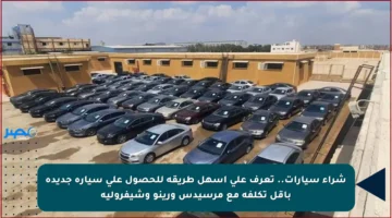 شراء سيارات.. تعرف على أسهل طريقة للحصول على سيارة جديدة بأقل تكلفة مع مرسيدس ورينو وشيفرولية